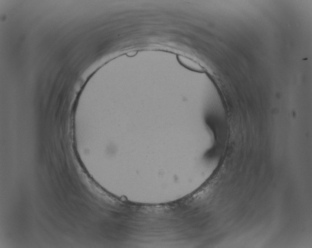 X0000067891526200605041539