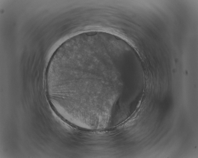 X0000067891527200605041539