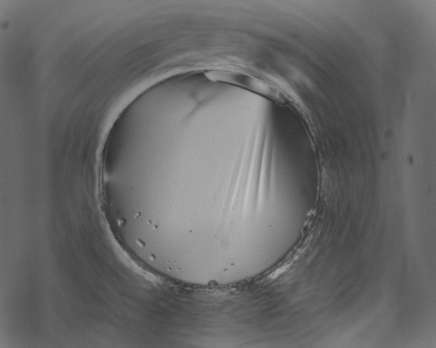 X0000067891528200605041539