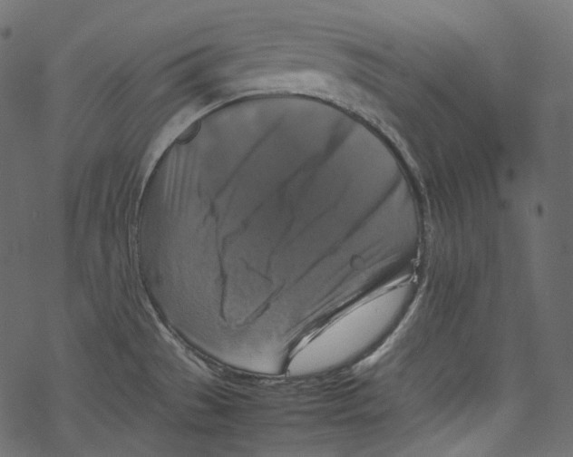 X0000067891529200605041539