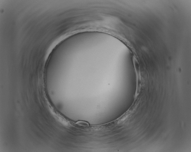 X0000067891530200605041539