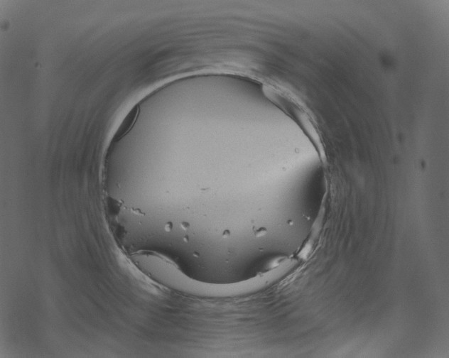 X0000067891532200605041539