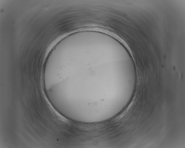 X0000067891533200605041539