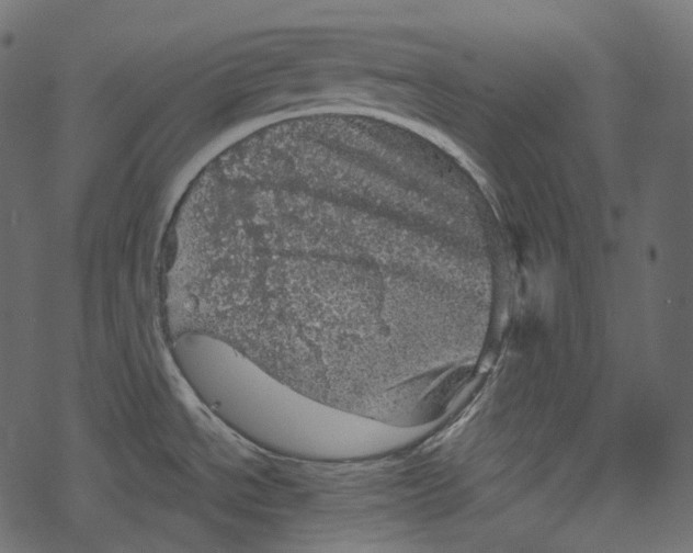 X0000067891534200605041539