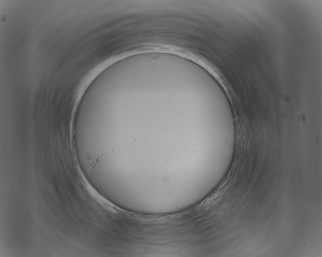 X0000067891535200605041539