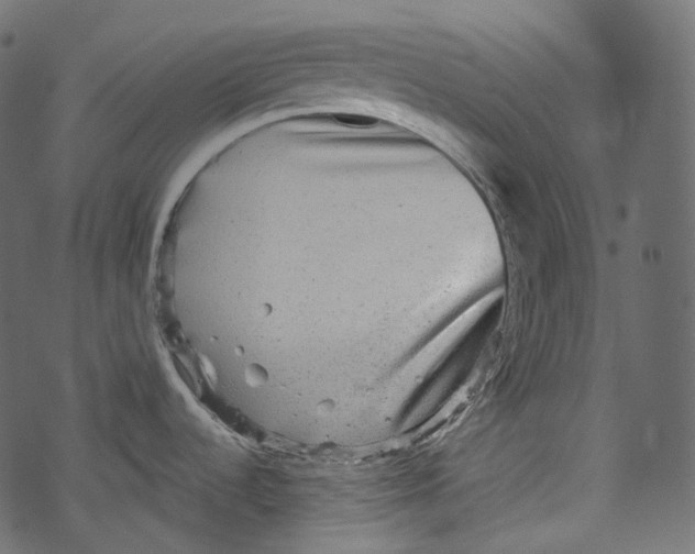 X0000067891536200605041539