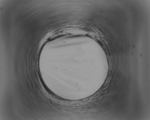 X0000067890003200605111903