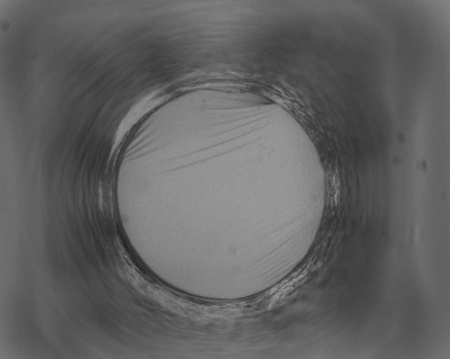 X0000067890004200605111903