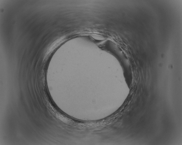 X0000067890005200605111903