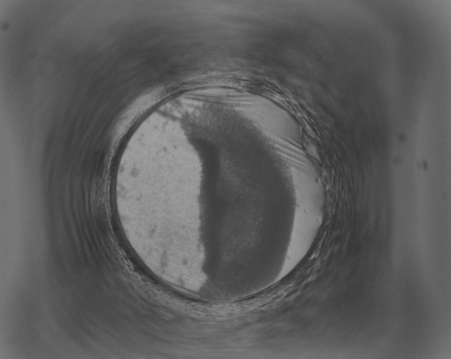 X0000067890006200605111903