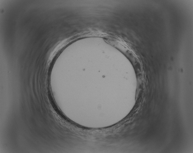 X0000067890007200605111903