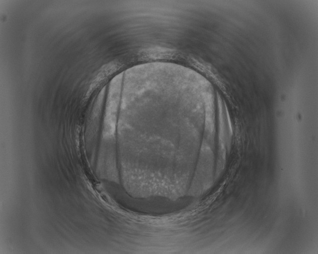 X0000067890010200605111903