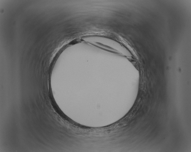 X0000067890011200605111903