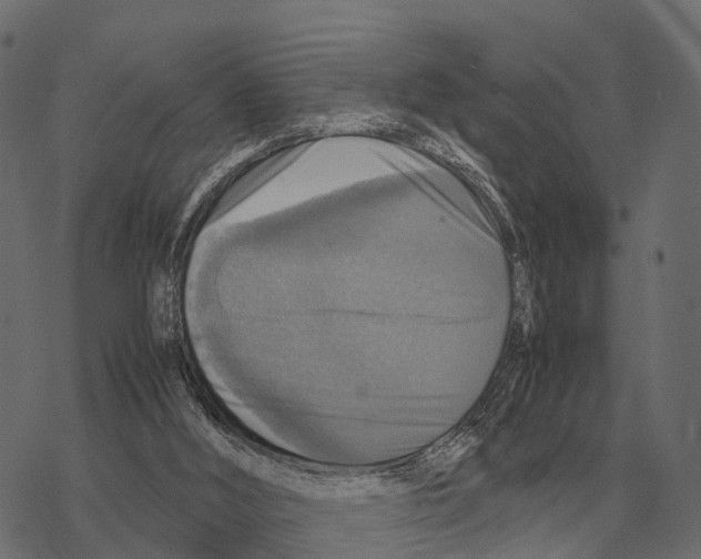 X0000067890012200605111902