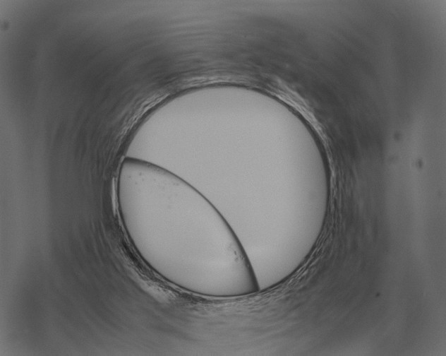 X0000067890013200605111902