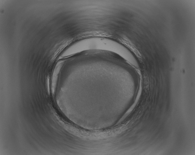 X0000067890014200605111902