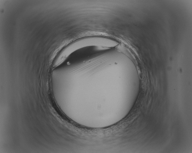 X0000067890015200605111902