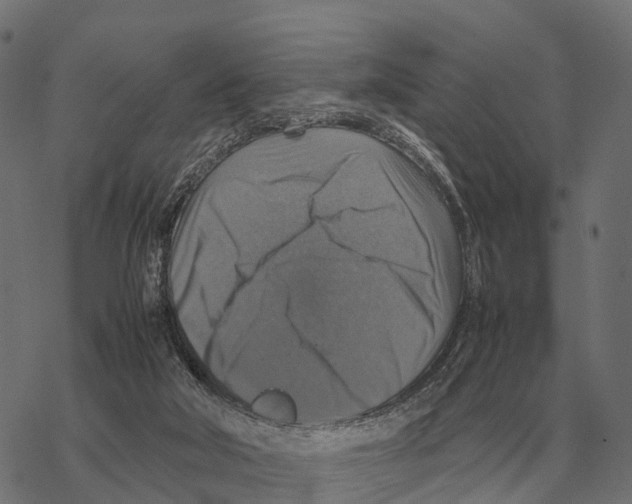 X0000067890018200605111902