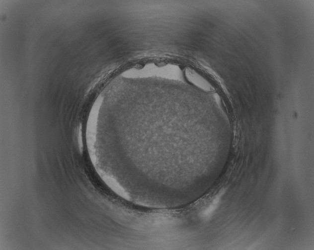 X0000067890020200605111902