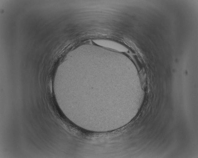 X0000067890021200605111902