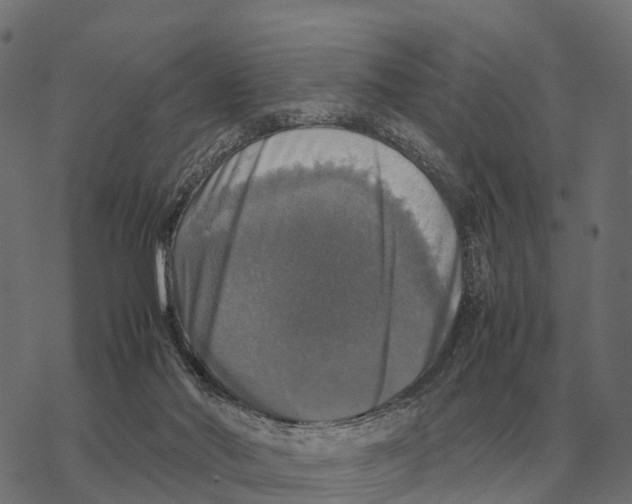 X0000067890022200605111902