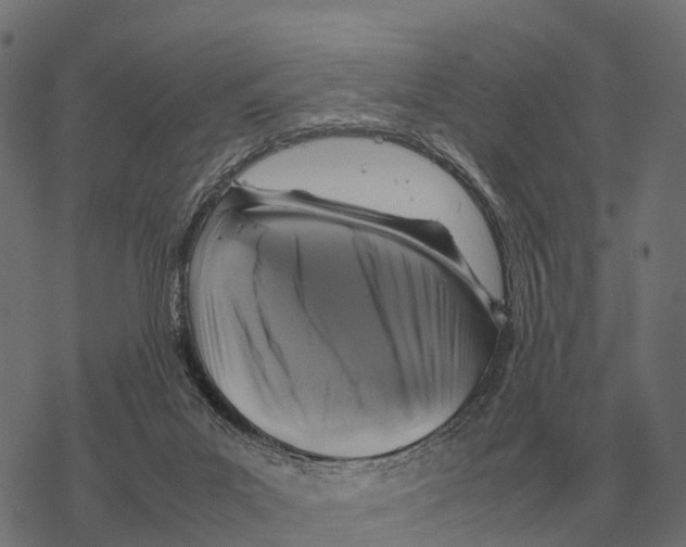 X0000067890023200605111902