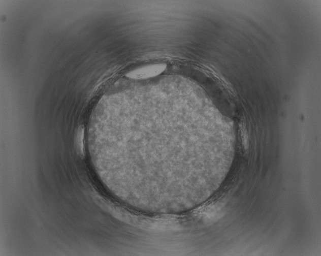 X0000067890024200605111902