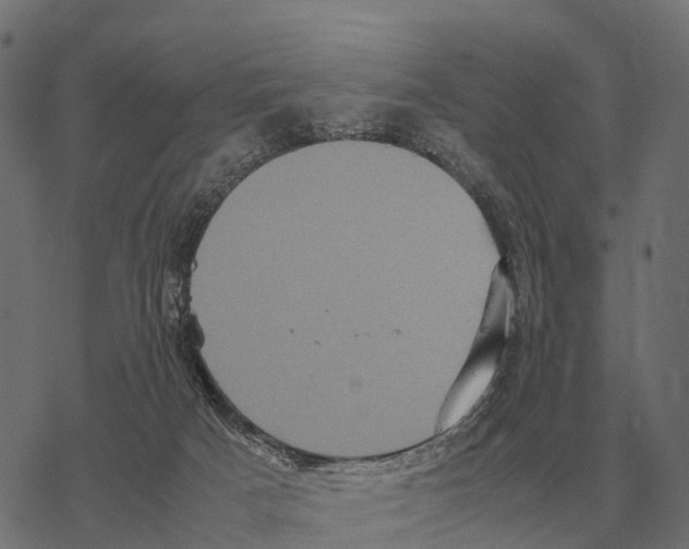 X0000067890025200605111902