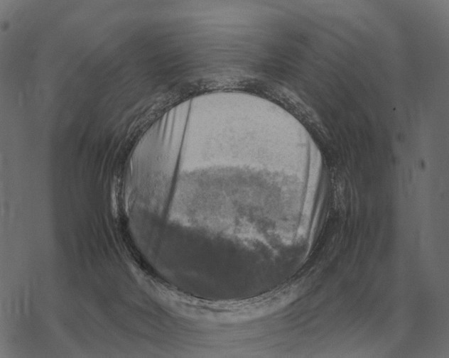 X0000067890026200605111902