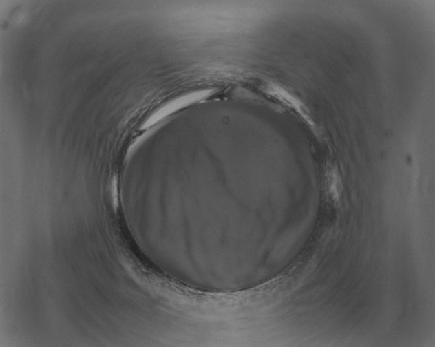 X0000067890027200605111902