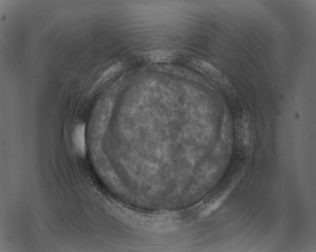 X0000067890028200605111902