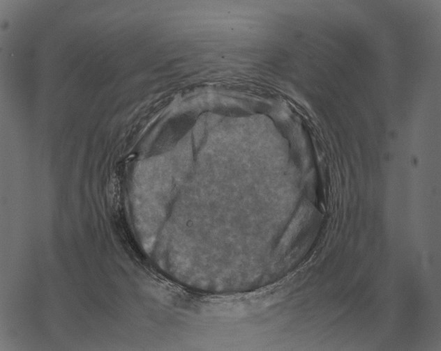 X0000067890029200605111902