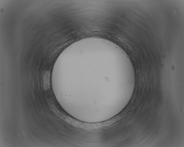 X0000067890030200605111902