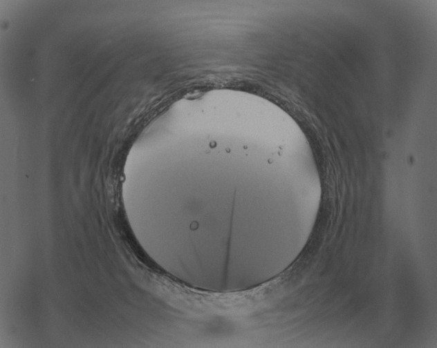 X0000067890031200605111902