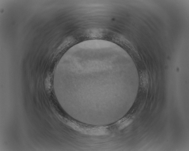 X0000067890032200605111902