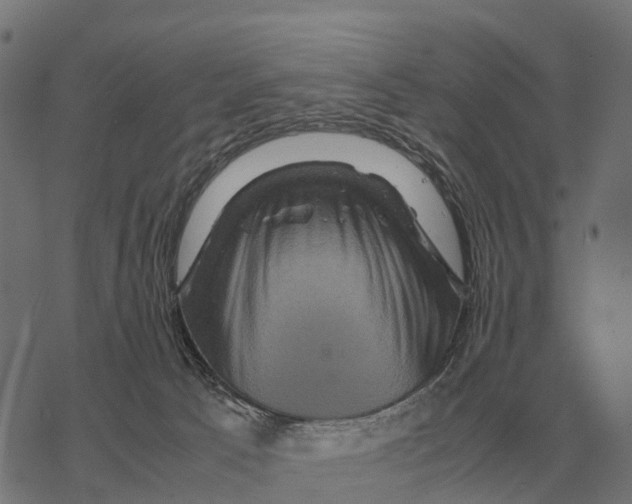 X0000067890033200605111902