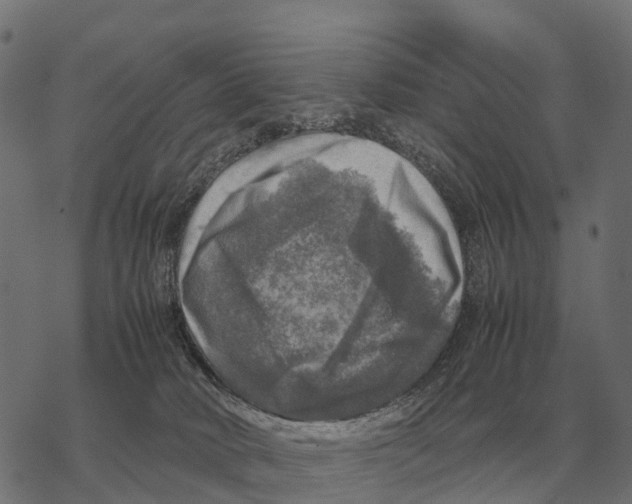 X0000067890034200605111902