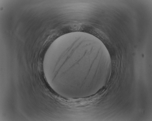 X0000067890035200605111902