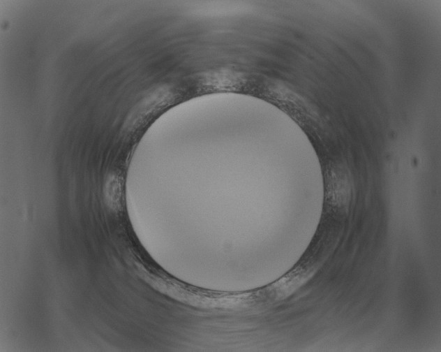 X0000067890036200605111902