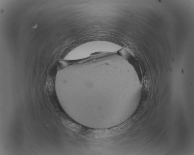 X0000067890037200605111902