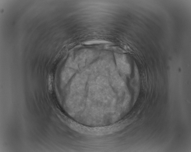 X0000067890038200605111902