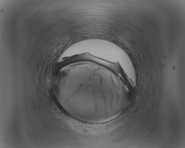 X0000067890039200605111902