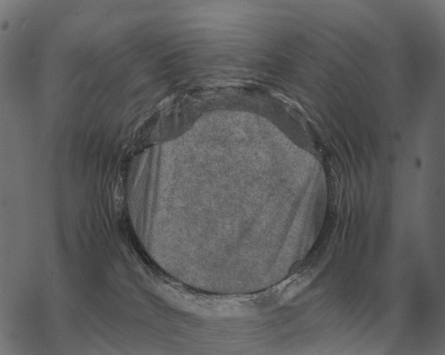 X0000067890040200605111902