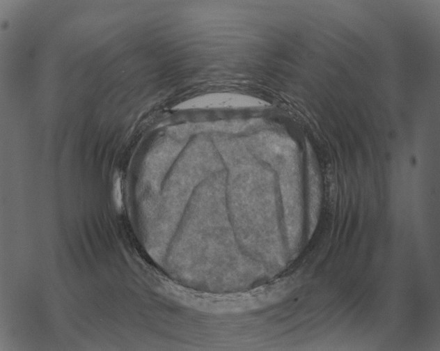 X0000067890042200605111902