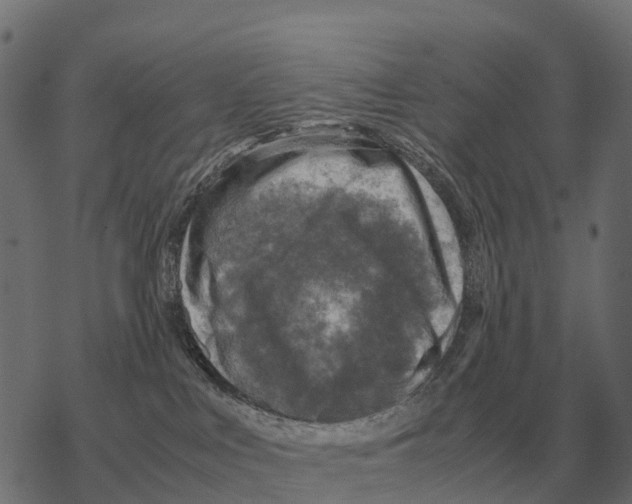 X0000067890043200605111902