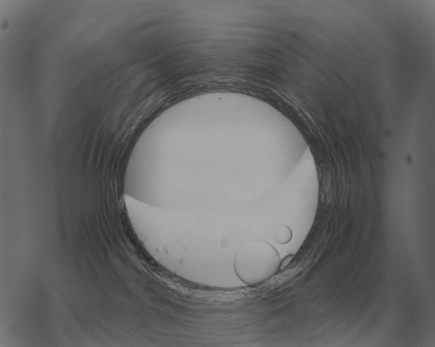 X0000067890044200605111902