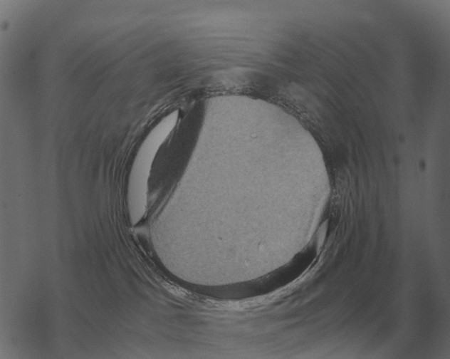 X0000067890045200605111902