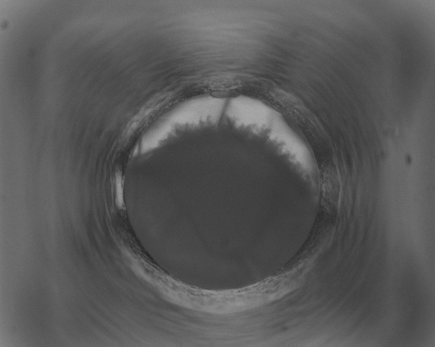 X0000067890046200605111902