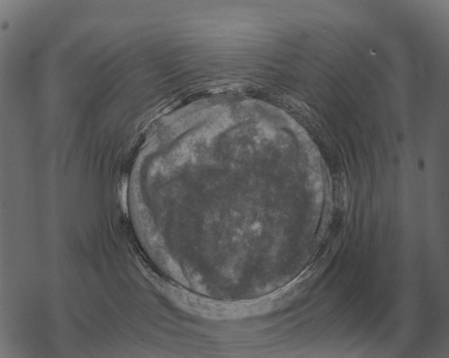 X0000067890047200605111902