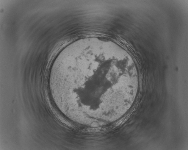 X0000067890049200605111901